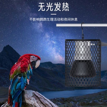 Rutin Chicken Insulation Lamp Bird Matte Ceramic Anti-scalding Anti-Bite Hamster Horned Frog Pet Chicken Parrot Heating Lamp