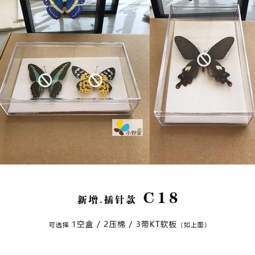 【空标本盒】亚克力材料12种全型号透明标本盒已展翅标本保存盒 - 图0