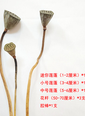 天然干花原生态真花真杆真叶
