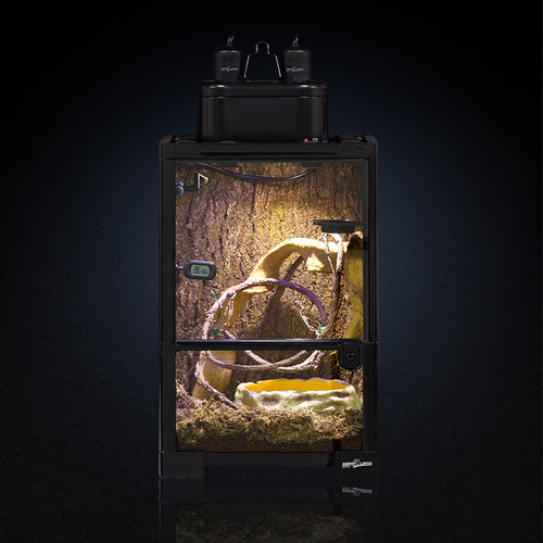REPTIZOO瑞皮树栖饲养箱角蛙睫角守宫鬓狮蜥蜴蛇爬宠虫雨林缸造景 - 图3