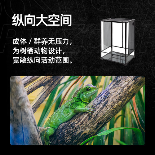 REPTIZOO瑞皮树栖饲养箱角蛙睫角守宫鬓狮蜥蜴蛇爬宠虫雨林缸造景 - 图1