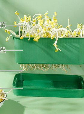 育苗盘种植发芽盆豆芽机