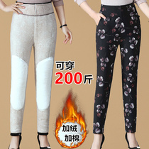 Middle-aged and elderly cotton pants female outside wearing silk mother gush thickened autumn winter grandma high waist warm and large code pants