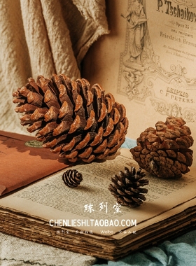 松球拍照摄影背景小清新风道具