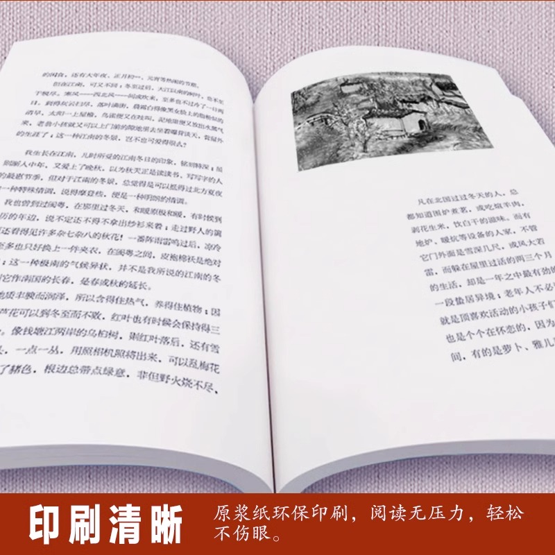 文学作品 到山中去 丰子恺著散文作品集全书系随笔书籍课外阅读书 名家经典文学随笔小说极简的阅读 - 图2