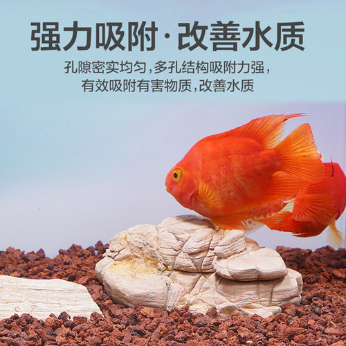 沃韦朗天然火山石底砂鱼缸专用乌龟水草泥造景颗粒滤材云山石 - 图0