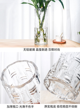 富贵竹专用花瓶玻璃水培