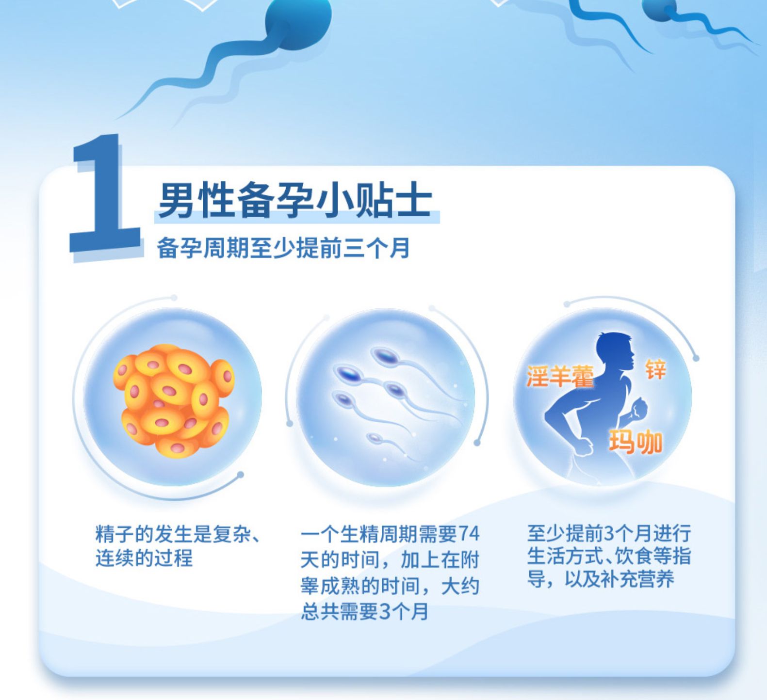 爱乐维孕妇钙片维生素D片补铁女性男士玛咖锌胶囊2盒