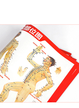 穴位图艾灸取穴参考图