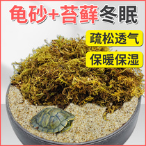 Turtle Hibernating special sand turtle-cylinder-made scenery river sand turtle sand hatching eggs over winter sand fine sand climbing and spotting dry moss mat material