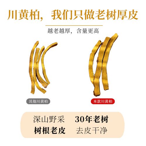 黄柏中药材药用四川野生老树厚片皮黄柏皮黄柏苍术川黄柏打黄柏粉 - 图0