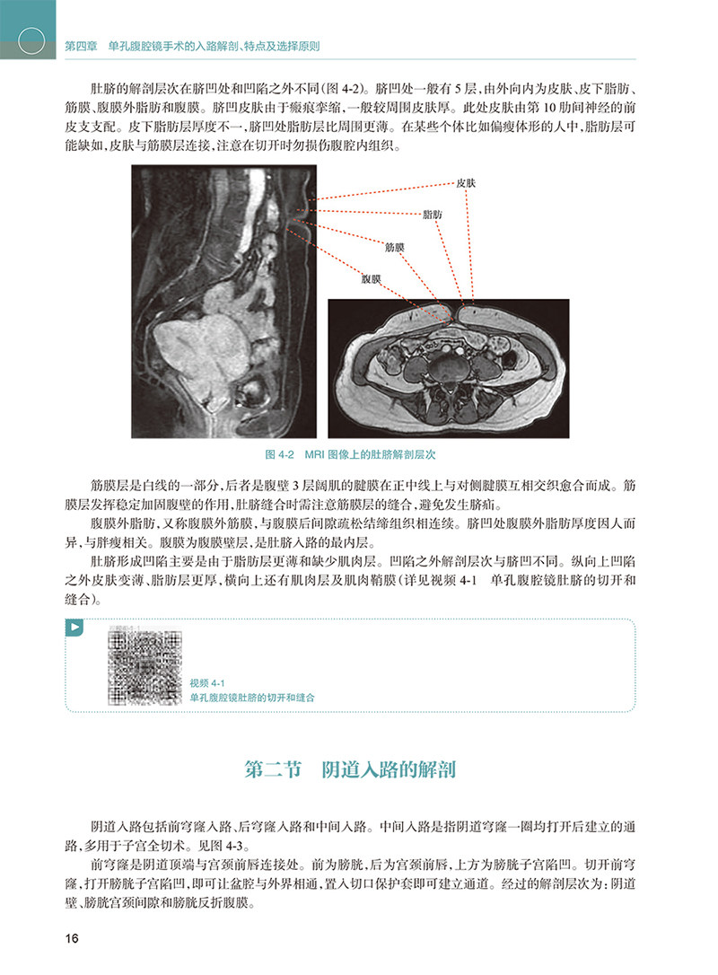 单孔腹腔镜妇科肿瘤手术实践李力贺红英机器人手术盆腔子宫内膜异位性疾病多囊卵巢综合征癌宫腔镜手术人民卫生出版社妇产科学书籍