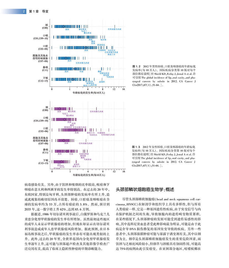 人卫正版 头颈外科学与肿瘤学第五5版 解剖病理影像放射治疗鼻窦鼻腔食管甲状腺淋巴结癌症耳鼻喉科学人民卫生出版社9787117320719
