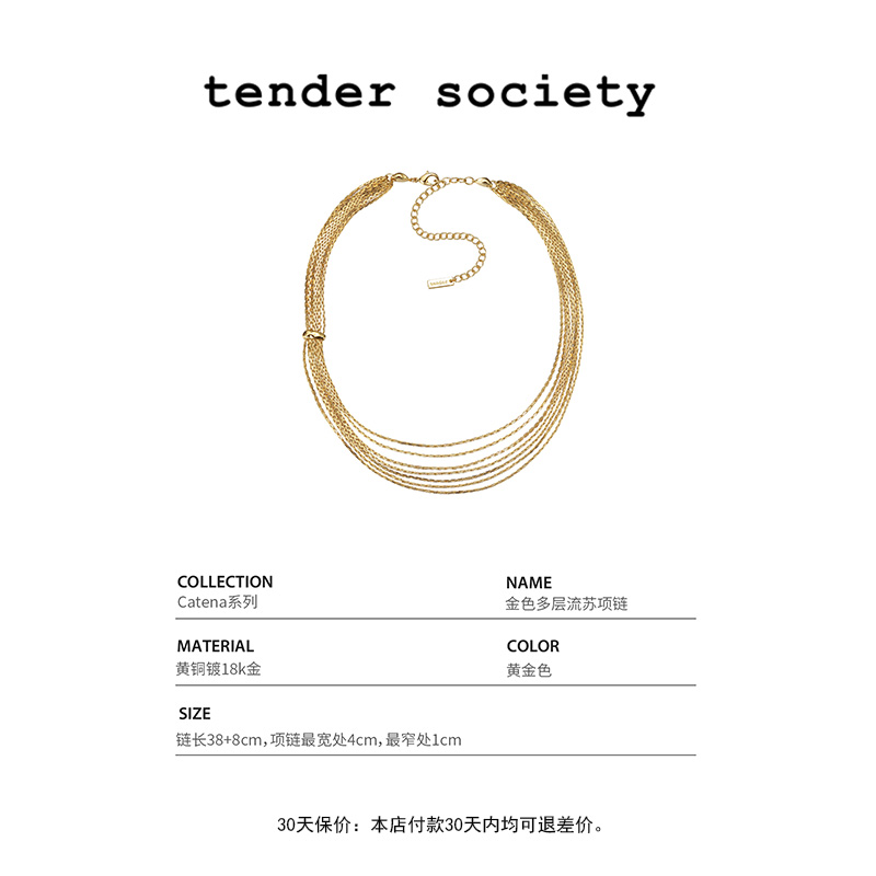 正品 现货发货快 Tender Society多层流苏项链法式高级感轻奢小众 - 图2