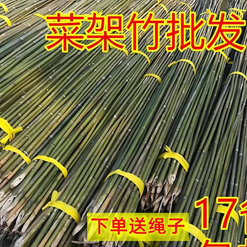 小竹子细竹竿菜园搭架户外篱笆豆角竹竿旗杆2米跳舞长竹竿粗大竹 - 图0