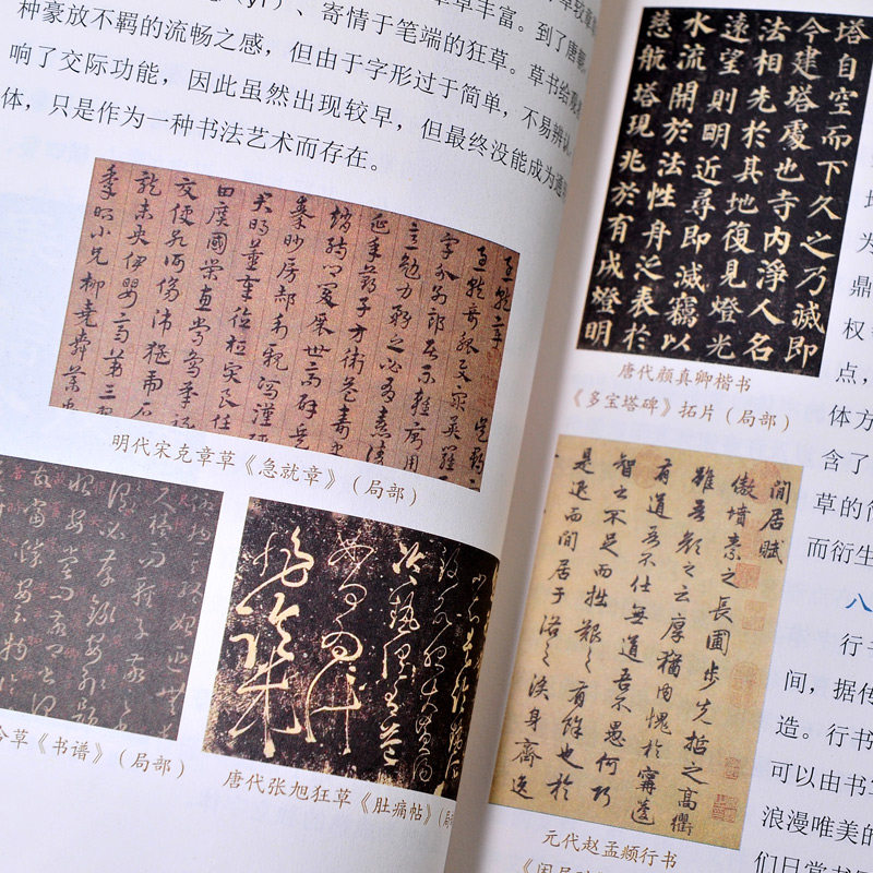 2026寒假人教版推荐书单五年级下册适读手指跳水非法智慧芝麻开门梅花魂学生课外阅读书籍课文作家作品系列可爱的中国你是我的妹,淘宝优惠券,粉丝福利购,淘宝优惠卷