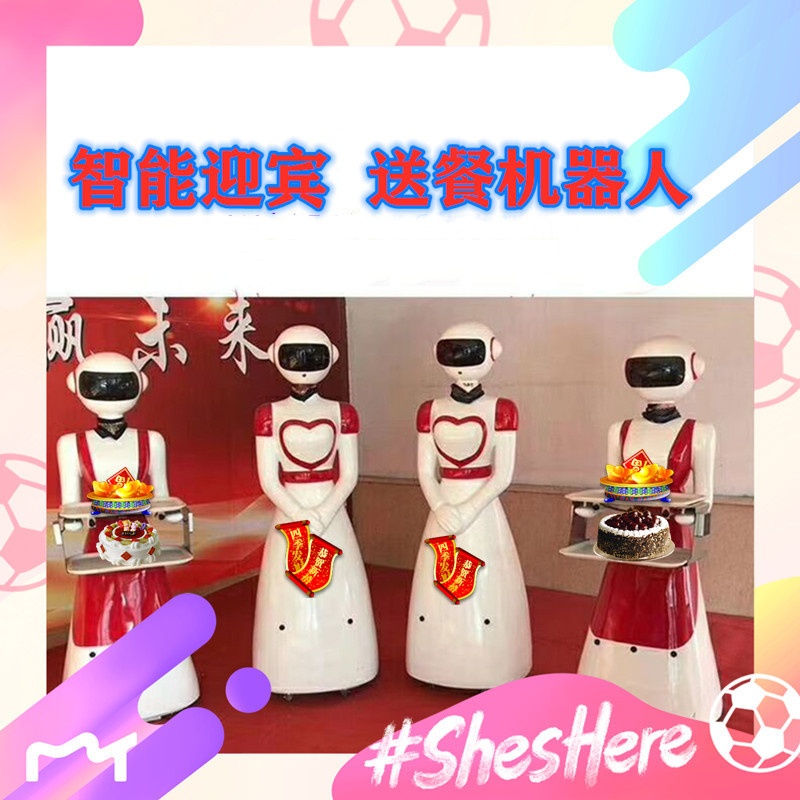 智能迎宾语音对话商场展厅幼儿园培训机构互动娱乐教育讲解服务员 - 图1