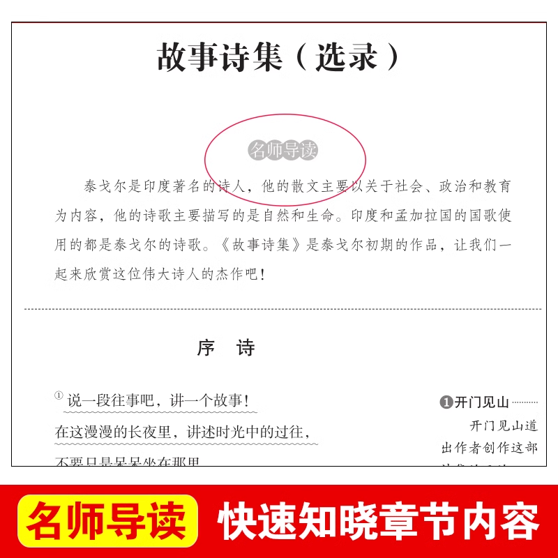 艾青诗选繁星春水冰心小学生现代诗集 四年级下册必读课外书 白桦叶赛宁诗选在天晴了的时候戴望舒诗集全集中国现当代儿童诗选精选 - 图1