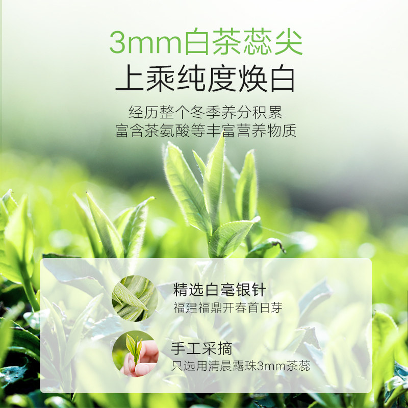 韩后茶蕊嫩白水乳套装美白旗舰店 韩后七柯面部护理套装