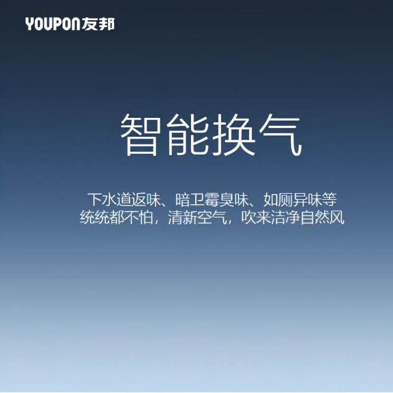 友邦吊顶风暖浴霸灯取暖排气照明换气一体卫生间浴室暖风机ZH207,淘宝优惠券,粉丝福利购,淘宝优惠卷