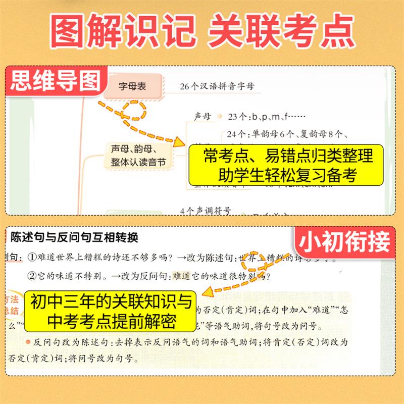 2024版小学语文基础知识与初中衔接一二三四五六年级上下册通用状元成才路基础知识大盘点同步教材小升初总复习小学语文百科知识书