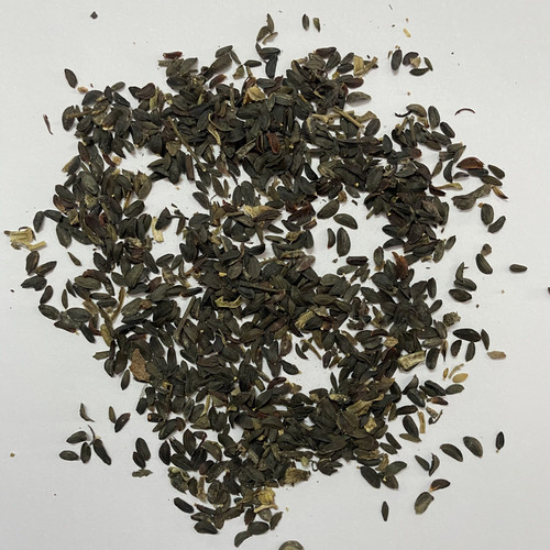 苦荬菜种子 多年生牧草 猪牛羊鸡鸭鹅苦麻菜苦麦菜苦买菜苦卖菜 - 图3