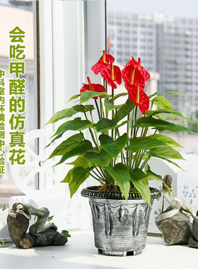 仿真植物红掌落地假花盆景餐厅