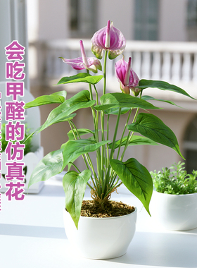和家红掌超仿真花盆栽绿植客厅