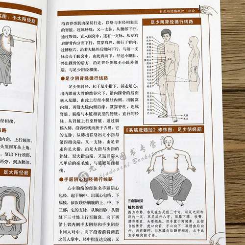 图解针灸大全/中医经络穴位正版书针炙学全书入门刺血疗法全一针疗法马氏温灸法黄帝内针灸绳基本功大成甲乙经针灸秘验与绝招书籍 - 图3