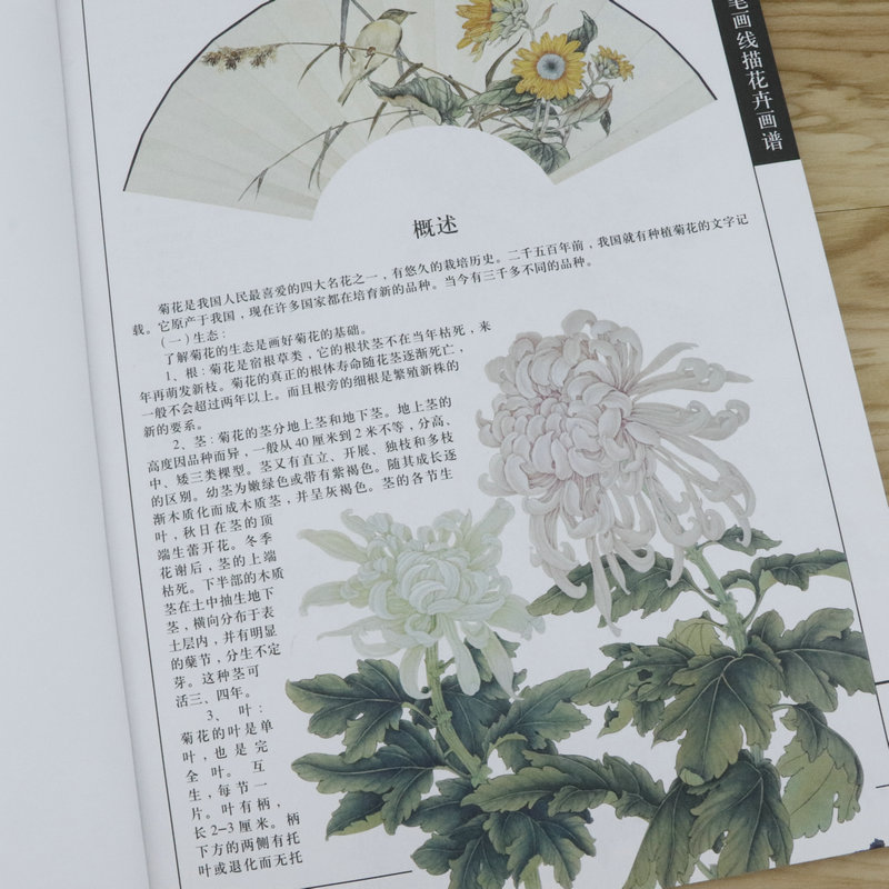 【微瑕非全新 选5本减11.5】工笔画线描花卉画谱 菊花篇百花花卉画集写生白描写意构图技法精解课徒稿绘画书籍 - 图1