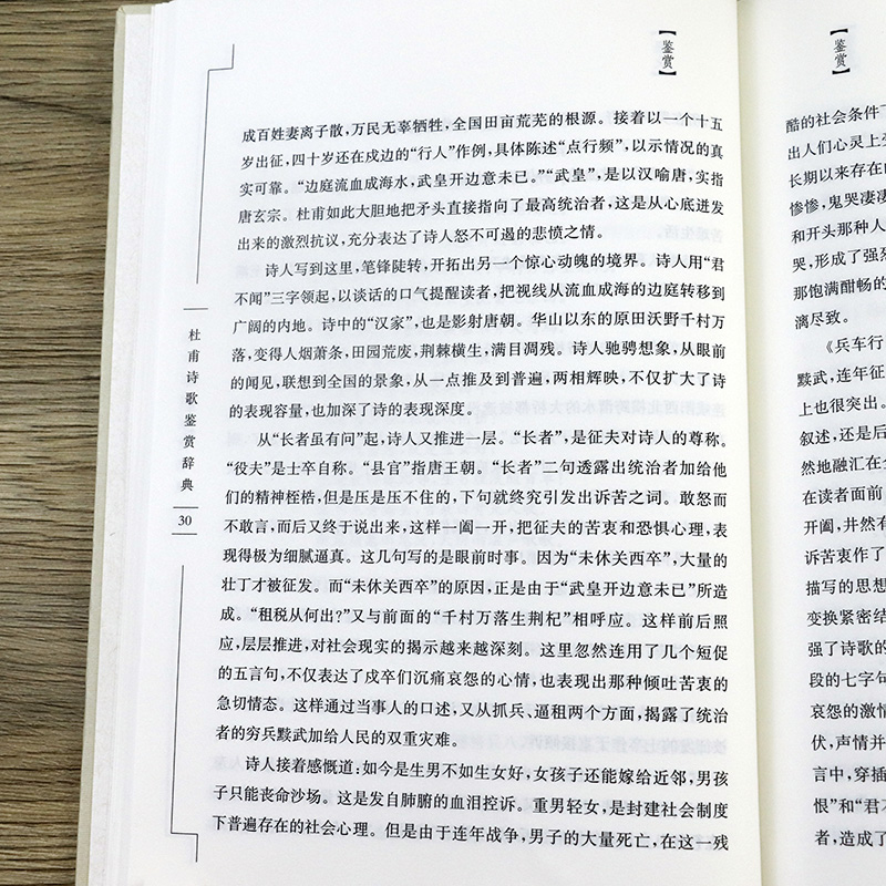 【5册】杜甫诗歌鉴赏辞典+杜牧诗文鉴赏辞典+李白诗歌鉴赏辞典+柳宗元诗文鉴赏辞典+辛弃疾词鉴赏辞典中国文学名家名作鉴赏辞典 - 图3