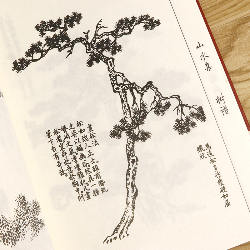 芥子园画谱（山水集）临摹技法 入门白话芥子园画传图解版山水谱水墨实用教材系列工笔画山石谱国画技法全集导读山水篇 - 图2