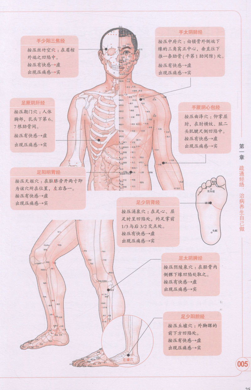 图解人体经络使用手册打通人体奇经八脉濡养气血经络法门超简单快速取穴学用经络祛百病经络穴位按摩大全经络图解准确找穴按摩速查 - 图3