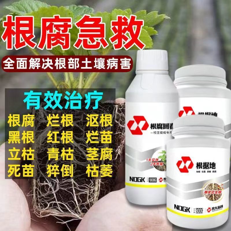 草莓根腐病专用药强效抑菌生根养苗壮苗救苗提升抗病能力治疗根病 - 图0