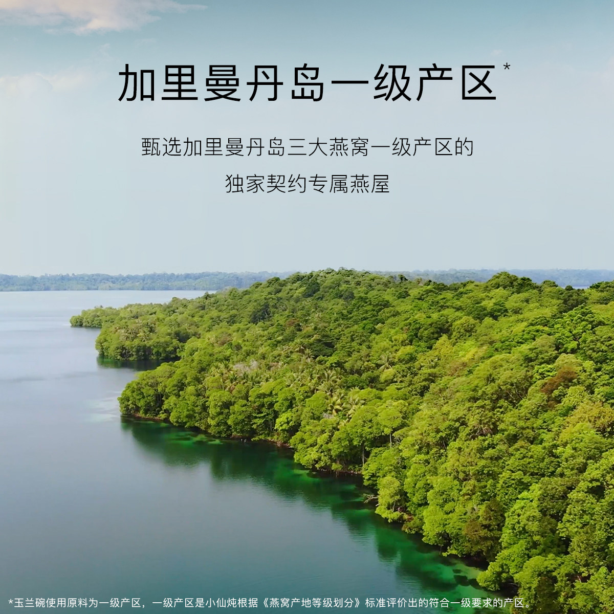 小仙炖鲜炖燕窝玉兰碗系列套餐冰糖/无糖滋补品孕期正品营养品,淘宝优惠券,粉丝福利购,淘宝优惠卷