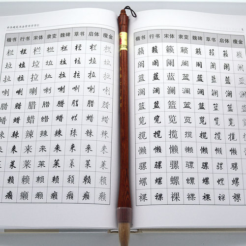 【精装正版】中华硬笔书法常用字字汇 多种字体书法技法入门 拼音查字 楷书行书隶书草书宋体魏碑启体瘦金8种字体钢笔书法字典 - 图2
