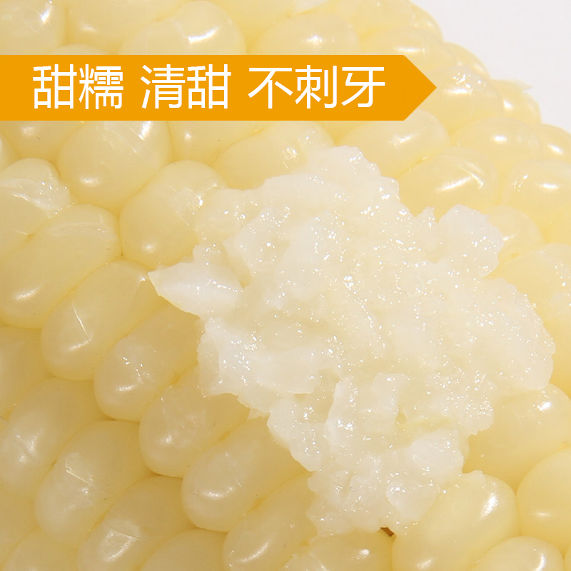 禾久大白糯玉米 均重300g*8根