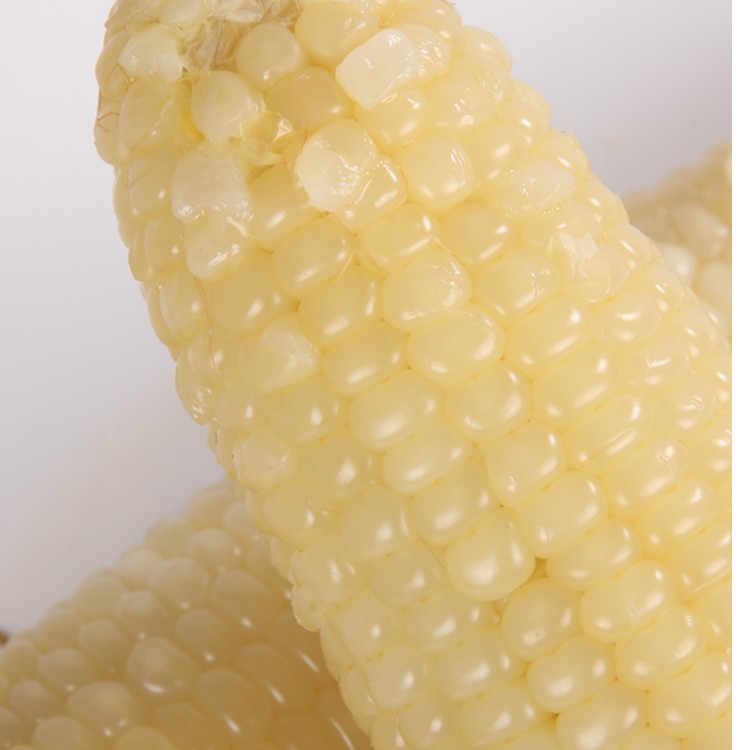 禾久大白糯玉米 均重300g*8根