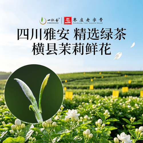 新茶一杯香茉莉花茶250g花草茶叶自己喝特级正品官方旗舰店 - 图3
