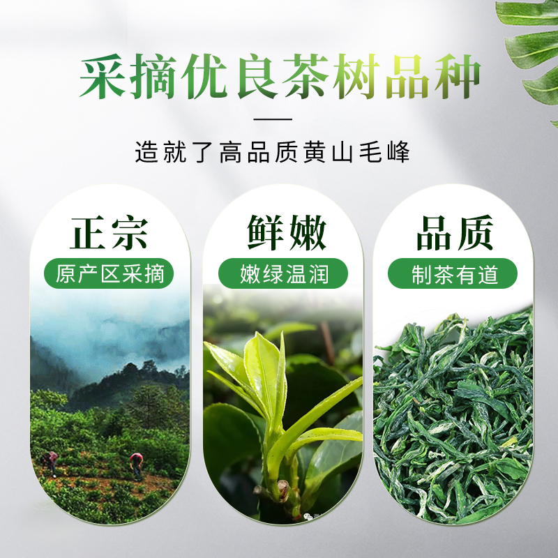 一杯香明前黄山毛峰茶叶绿茶200g礼盒2023春新茶自己喝官方旗舰店