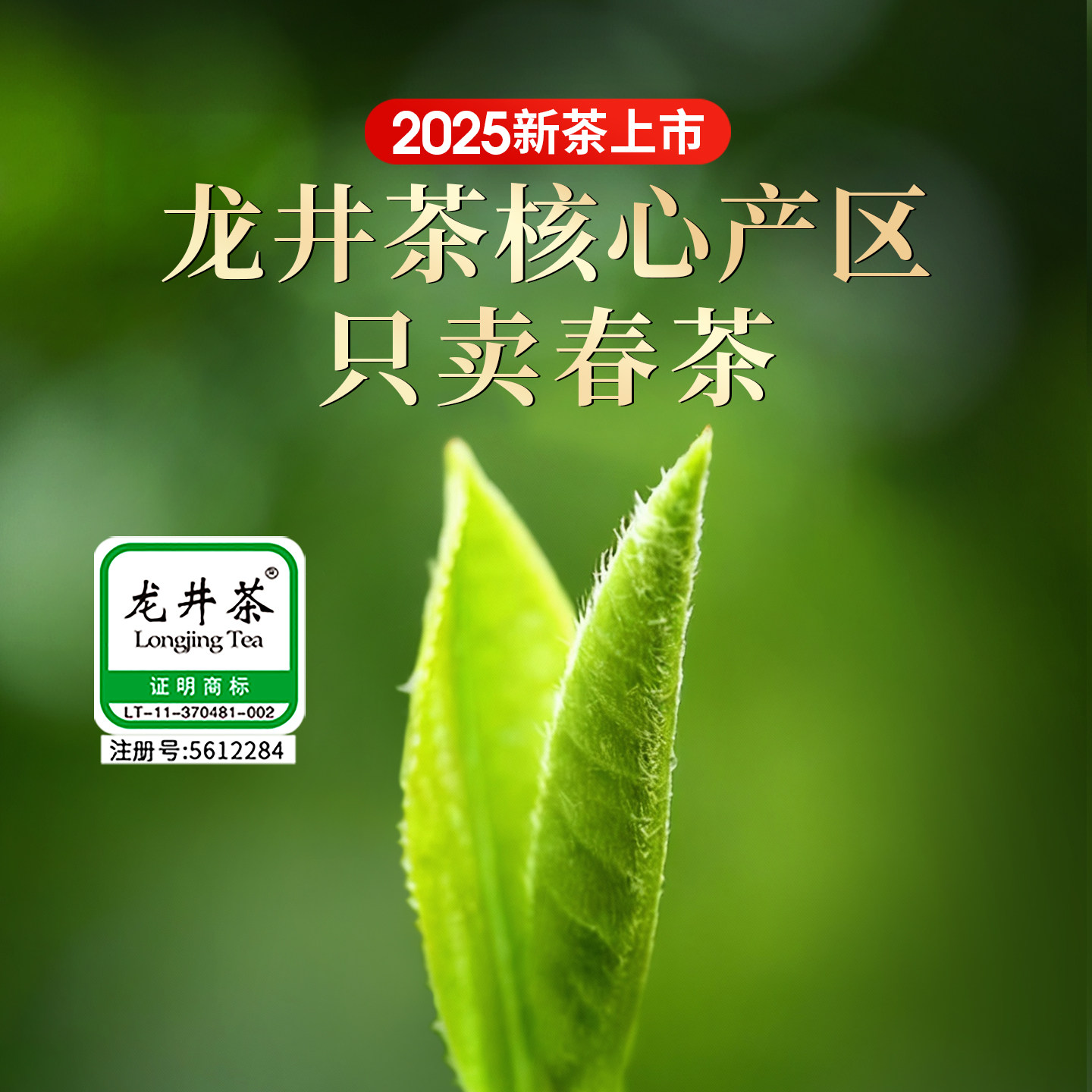 一杯香龙井茶明前绿茶茶叶礼盒2025新茶自己喝浓香春茶官方旗舰店,淘宝优惠券,粉丝福利购,淘宝优惠卷