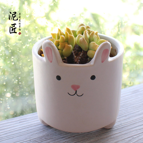 多肉植物花盆可爱卡通创意个性陶瓷动物肉肉小猫小猪小兔组合盆栽 - 图2