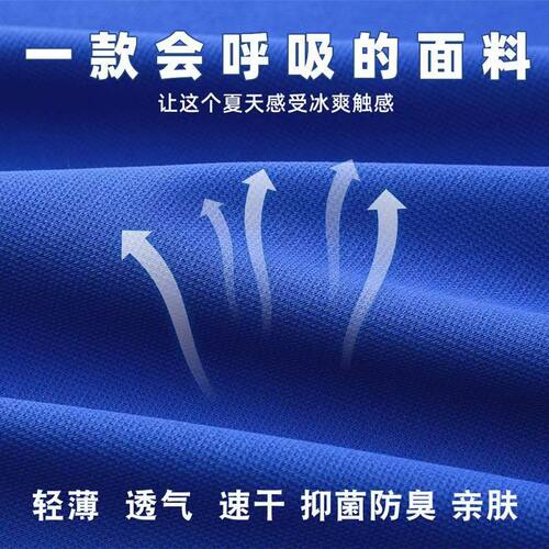 深圳市校服裤子中小学生男女夏季运动校裤速干冰感短袖短裤薄长裤 - 图0