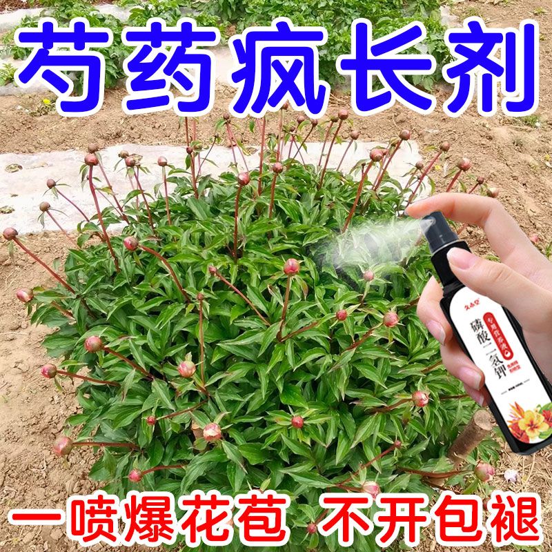 芍药专用营养液促进生长冒新芽治黄叶延花期通用型免稀释专用肥 - 图0