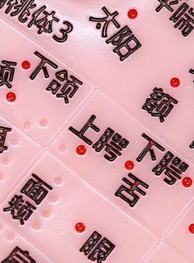 针灸模型耳朵压豆耳贴廓理疗清晰多穴位刻字耳穴膜型耳部18厘米