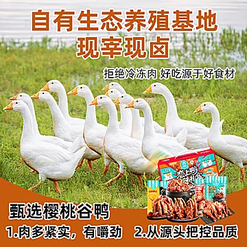 恋上鸭甜辣卤香鸭脖卤味500克[20元优惠券]-寻折猪