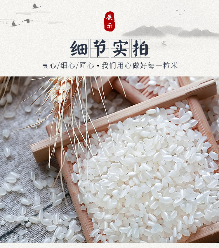 好吃2021年新米々东北大米长粒香大米5kg厂家直批10斤粳米 好吃不腻