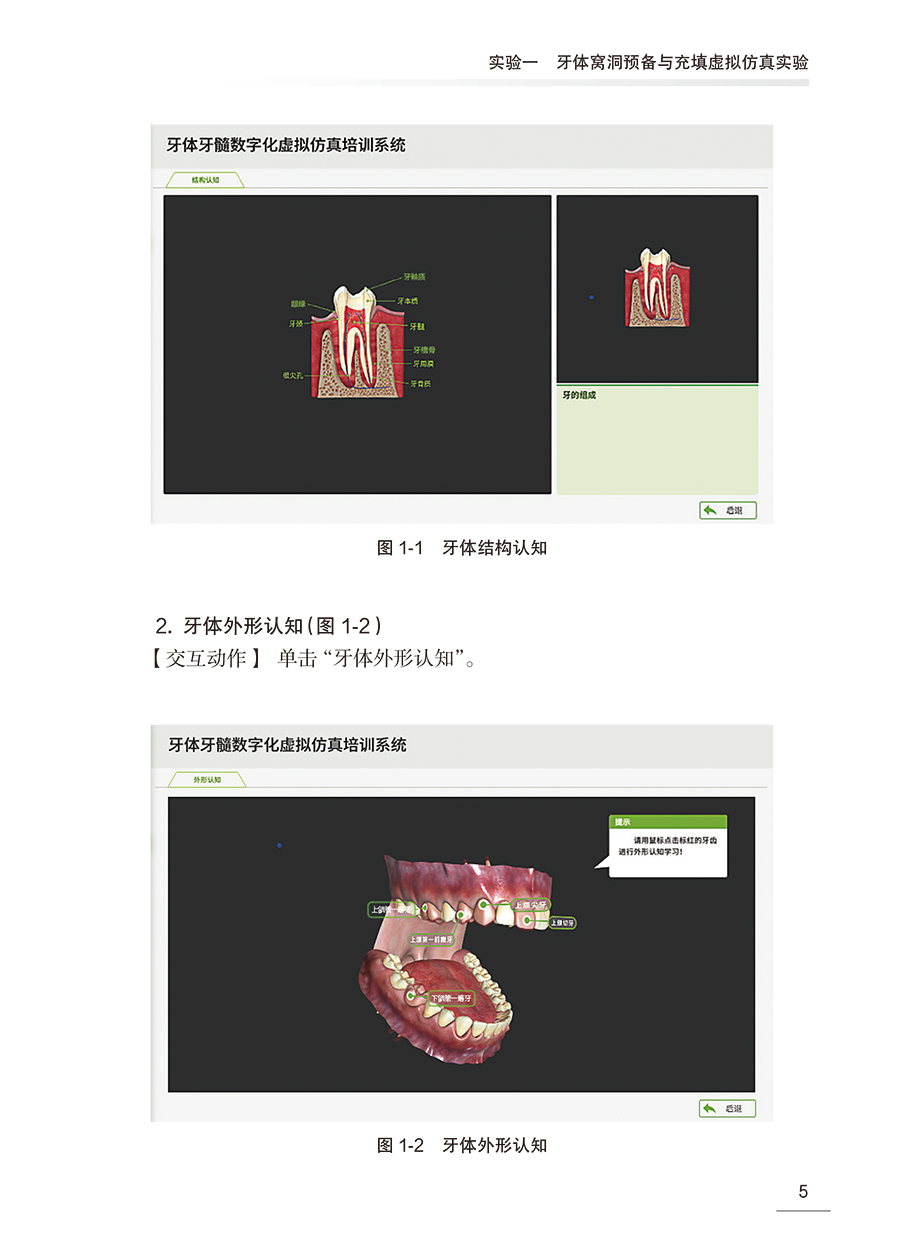 口腔医学虚拟仿真实验教程张凌琳口腔本科教材配套实验教程实验全过程的标准操作说明及要点解析人民卫生出版社9787117354196-图2