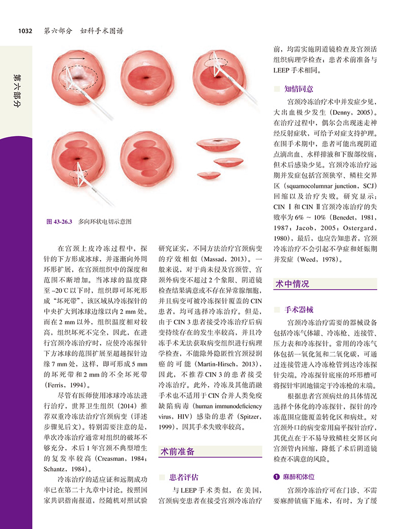 威廉姆斯妇科学第3三版段华王建六译微创手术妇科肿瘤生殖内分泌盆底医学妇科学书籍北京大学医学出版社9787565923722-图3