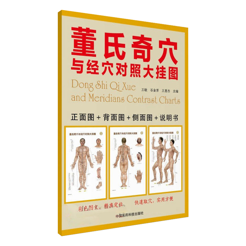 正版现货套装2本董氏奇穴速查手册+董氏奇穴与经穴对照大挂图正面图+背面图+侧面图+说明书中国医药科技出版社新穴奇穴图谱-图2